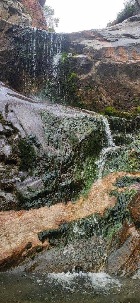 探索99.95万亩国家储备林落地甘肃兰州,对当地能带来哪些影响?——99.95万亩国家储备林落地甘肃兰州,对当地能带来哪些影响?知识星球,实力导师助力成长